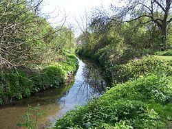 River Pinn httpsuploadwikimediaorgwikipediacommonsthu