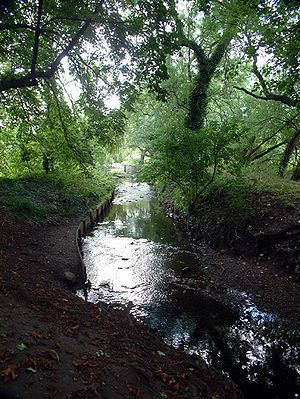 River Ravensbourne httpsuploadwikimediaorgwikipediacommonsthu
