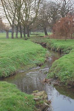 River Roach httpsuploadwikimediaorgwikipediacommonsthu