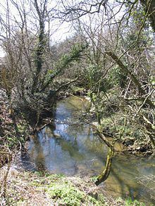 River Sence, Wigston httpsuploadwikimediaorgwikipediacommonsthu