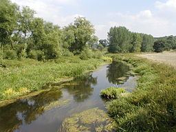River Sow httpsuploadwikimediaorgwikipediacommonsthu