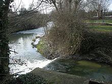 River Swift httpsuploadwikimediaorgwikipediacommonsthu