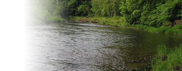 River Till Fishing on the River Till Cornhill Northumberland