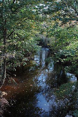 River Trothy httpsuploadwikimediaorgwikipediacommonsthu