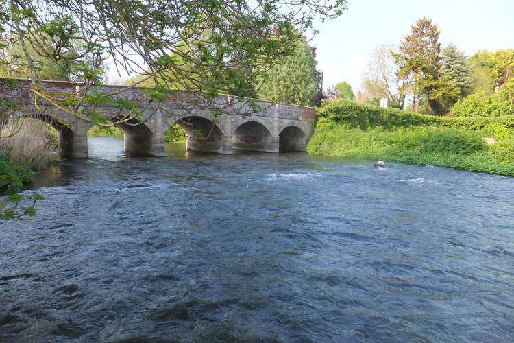 River Wylye River Wylye Stoford Bridge Wild Brown Trout