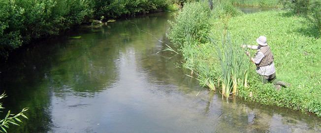 River Wylye Fly Fishing on the the River Wylye Go Fly Fishing UK