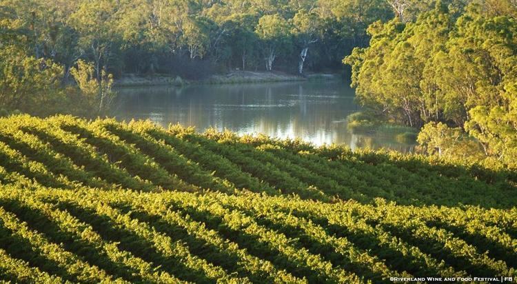 Riverland Riverland Wine Region Focus on Australia39s Wine Region