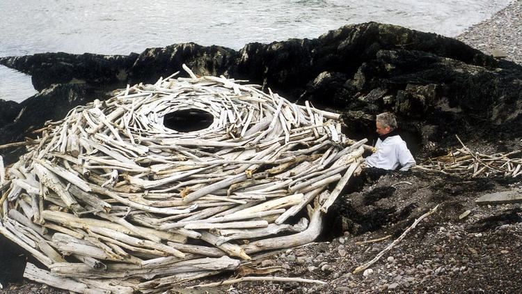 Rivers and Tides Rivers and Tides Andy Goldsworthy Working with Time 2001 MUBI