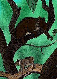 Riversleigh rainforest koala httpsuploadwikimediaorgwikipediacommonsthu