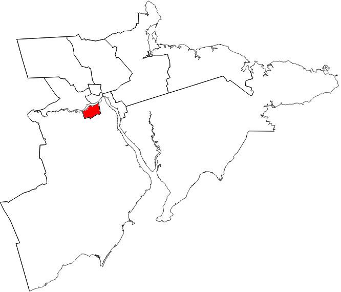 Riverview (electoral district)