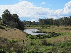 Riverview, Queensland httpsuploadwikimediaorgwikipediacommonsthu