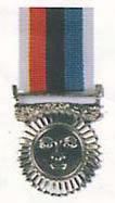 Riviresa Campaign Services Medal