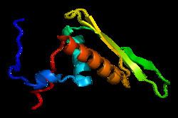 RNA Helicase A httpsuploadwikimediaorgwikipediacommonsthu