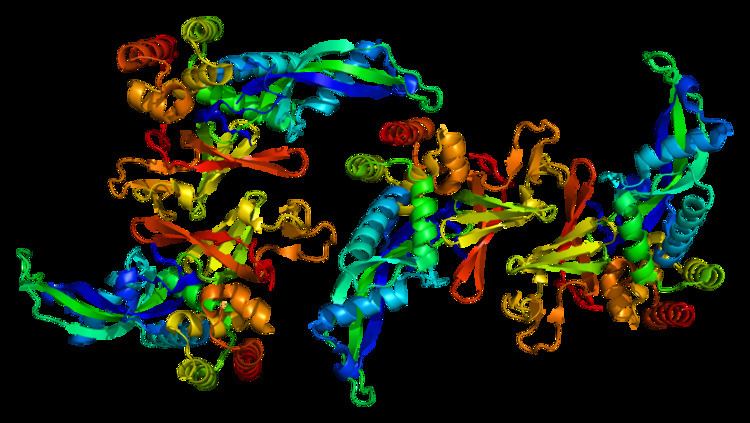 RNA polymerase II subunit B4