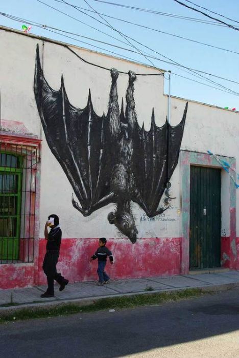 ROA (artist) Wild Creatures in Urban Mexico New Street Art by ROA
