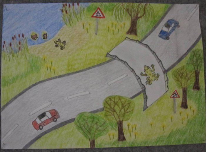 Road ecology Ecology and Society Effects of roads and traffic on wildlife