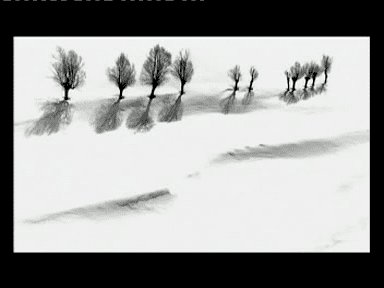 Roads of Kiarostami Roads of Kiarostami 2006 dAbbas Kiarostami Shangols