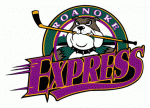 Roanoke Express wwwhockeydbcomihdbstatsthumbnailphpinfile