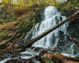 Roaring Brook Falls httpsuploadwikimediaorgwikipediacommonsthu