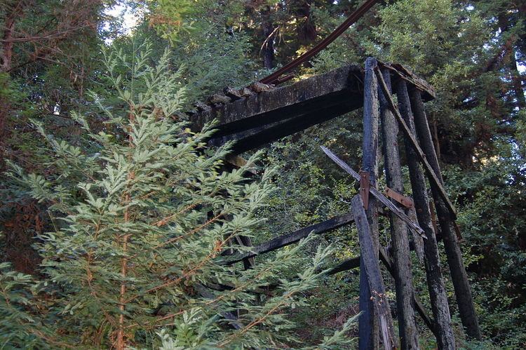 Roaring Camp & Big Trees Narrow Gauge Railroad