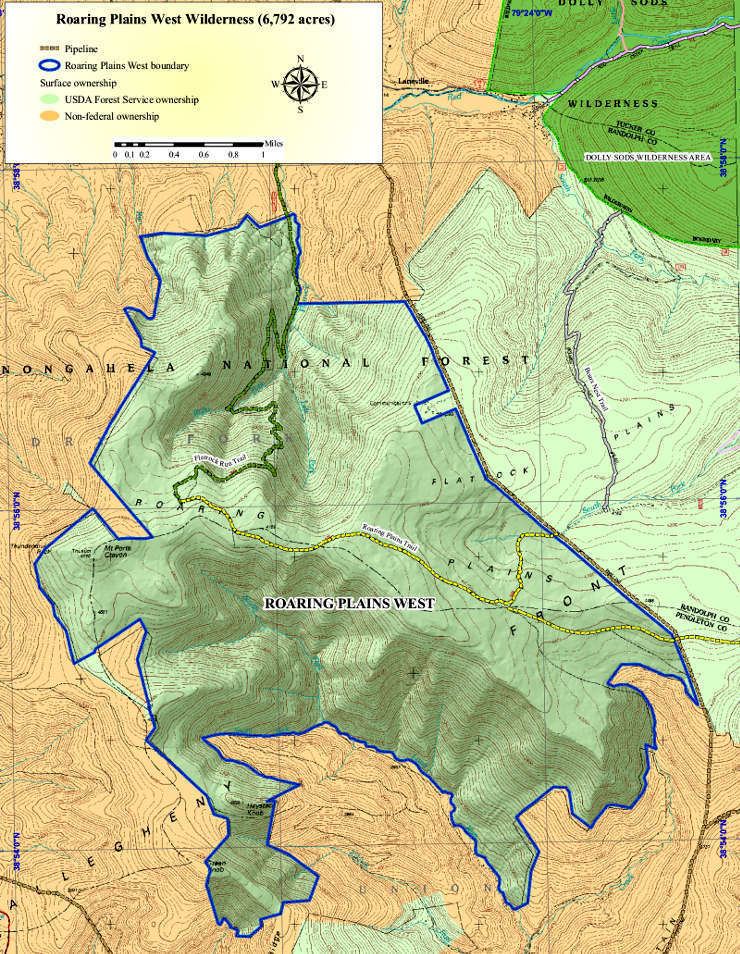 Roaring Plains West Wilderness Roaring Plains West Wilderness West Virginia National Wilderness Areas