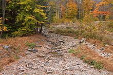 Roaring Run (Bowman Creek) httpsuploadwikimediaorgwikipediacommonsthu