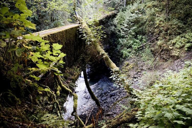Robe Canyon Historic Trail 1000 ideas about Granite Falls Wa on Pinterest Washington state