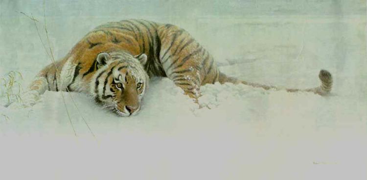 Robert Bateman (artist) Wildlife art prints plus original paintings with a wide