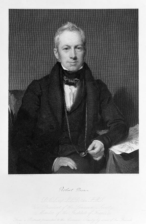 Robert Brown (botanist, born 1773) Robert Brown British Botanist Photograph by Science Photo Library