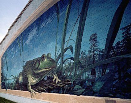 Robert Dafford Amazoncom Photography Poster Frog mural by artist