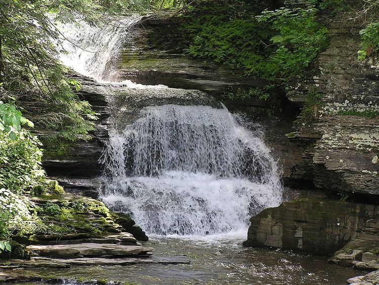 Robert H. Treman State Park