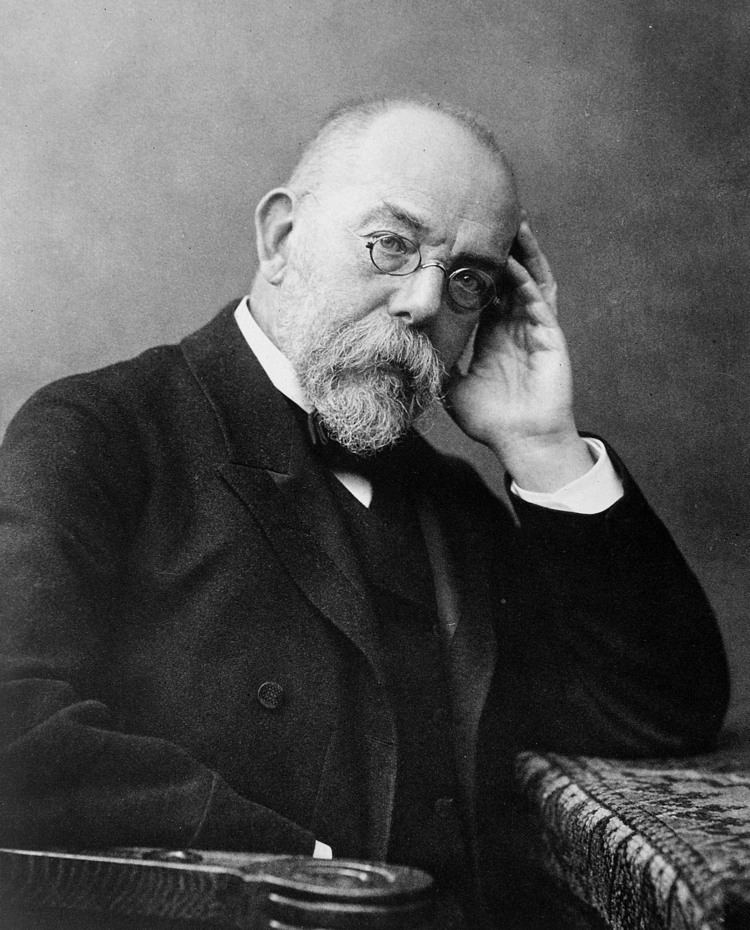 Robert Koch Paul Ehrlich Wikipedia the free encyclopedia