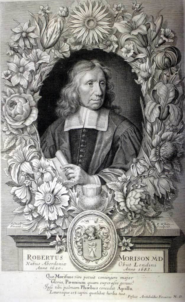 Robert Morison Robert Morison Botany