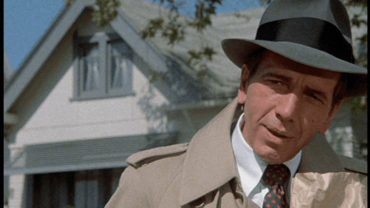 Robert Sacchi FilmFanaticorg Man With Bogart39s Face The 1980