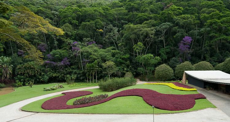 Roberto Burle Marx The Planthunter Roberto Burle Marx The Modernist Gardener