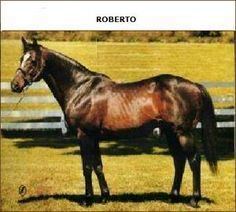 Roberto (horse) httpssmediacacheak0pinimgcom236xdba8a6