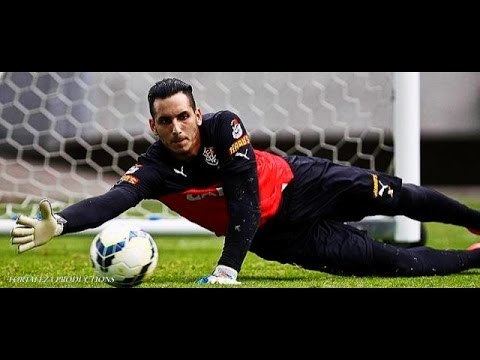 Gatito Fernández Gatito Fernndez Best Saves Compilation Figueirense YouTube