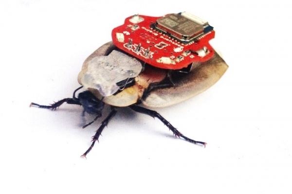 RoboRoach Experiment Wirelessly Control a Cyborg Cockroach