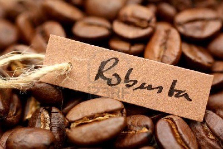 Robusta coffee Brazil to import robusta coffee first time in decades Kirehalli