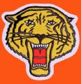 Rochester Tigers httpsuploadwikimediaorgwikipediaen665Bro