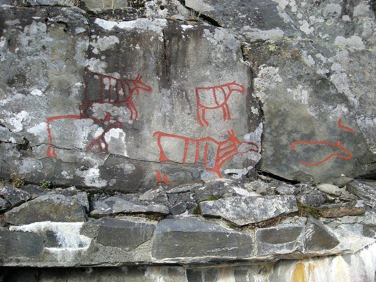 Rock carvings at Drotten
