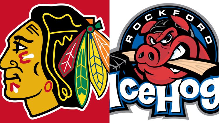 Rockford IceHogs Chicago Blackhawks extend affiliation with Rockford IceHogs Story