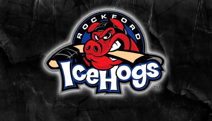 Rockford IceHogs IceHogs hold Autism Awareness Night The Rock River Times