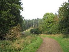 Rockingham Forest httpsuploadwikimediaorgwikipediacommonsthu