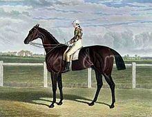 Rockingham (horse) httpsuploadwikimediaorgwikipediacommonsthu