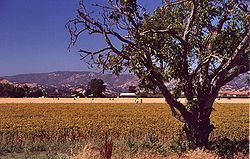 Rockville, California httpsuploadwikimediaorgwikipediacommonsthu
