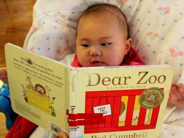 Rod Campbell Dear Zoo by Rod Campbell Book Review DaddyLibrarycom