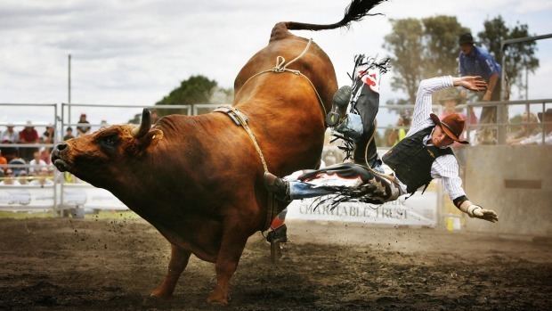 Rodeo Rodeo Injuries Spooner Physical Therapy