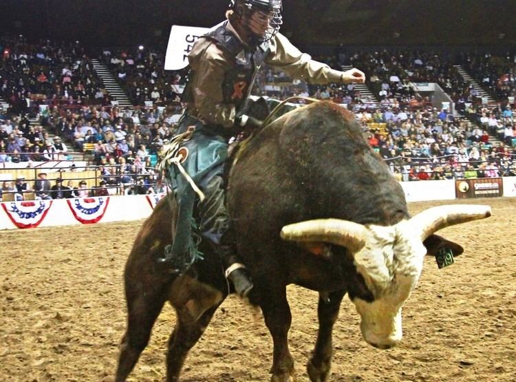 Rodeo RODEOS National Western Stock Show and Rodeo