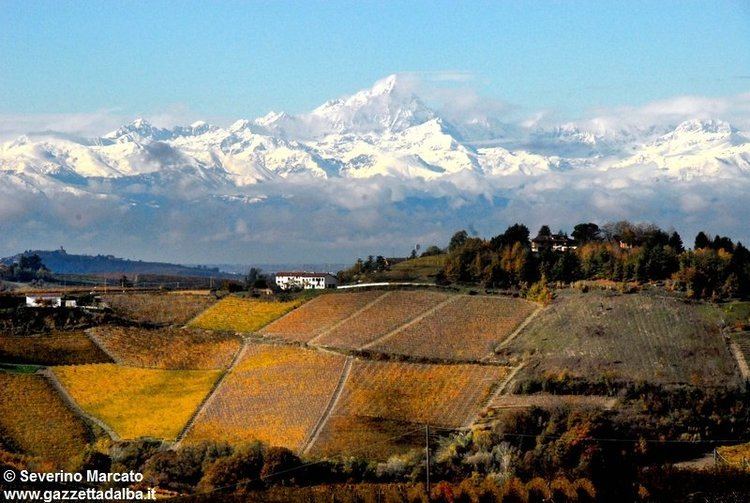 Roero Wine landscapes of Langhe Roero by bike